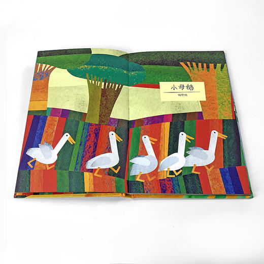 后浪 卡尔维诺意大利童话故事全三册套装 世界文学大师卡尔维诺潜心编著 商品图6