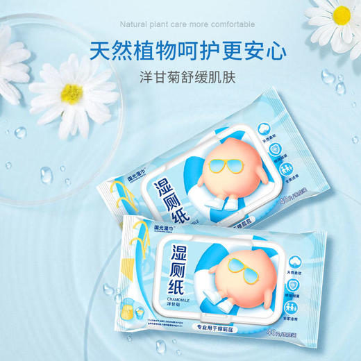 国光湿巾 可冲解湿厕纸湿巾40片 带盖 10包箱规订货【GPQ】 商品图0
