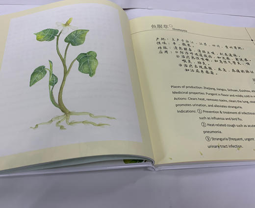 风调雨顺 国风 中药和书法相结合的特色绘本  书法小联合国 书法文化特色课程 中英文双语 全彩印刷 商品图2