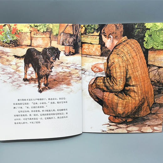 集市上的流浪狗 我的动物朋友系列 3000931 商品图6