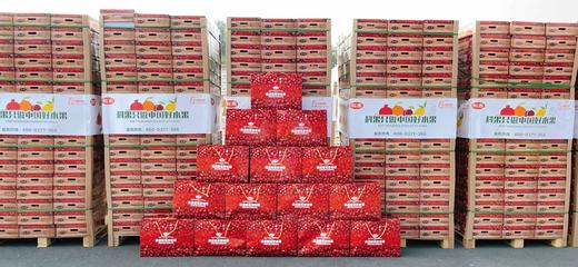 【科果突尼斯软籽石榴】9头/礼盒，被誉为可以吃的雅诗兰黛 商品图6