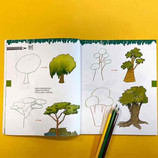 一学就会创意简笔画: 神秘雨林 3001117 商品图4