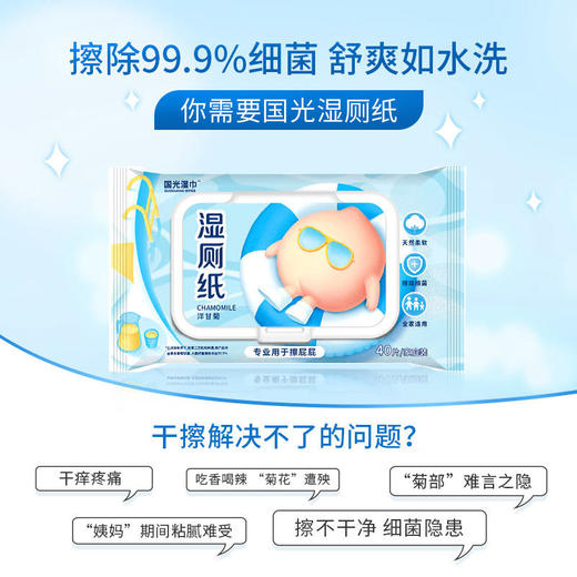 国光湿巾 可冲解湿厕纸湿巾40片 带盖 10包箱规订货【GPQ】 商品图1