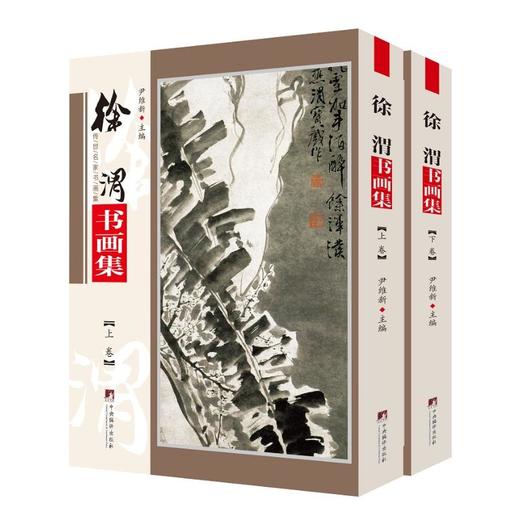 徐渭书画集(全2册) 商品图0