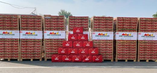 【科果突尼斯软籽石榴】9头/礼盒，被誉为可以吃的雅诗兰黛 商品图5