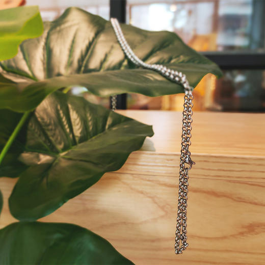 【金工】钛钢项链 商品图1