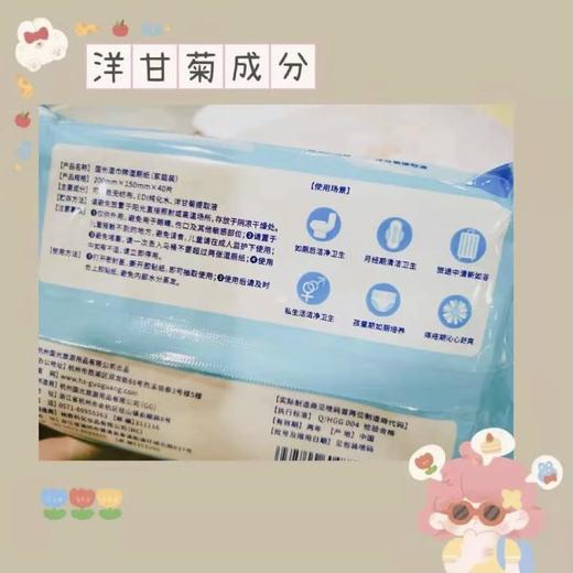 国光湿巾 可冲解湿厕纸湿巾40片 带盖 10包箱规订货【GPQ】 商品图2