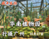 10月27日 行摄广州——华南植物园 商品缩略图0