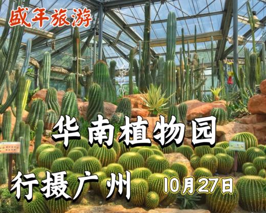 10月27日 行摄广州——华南植物园 商品图0