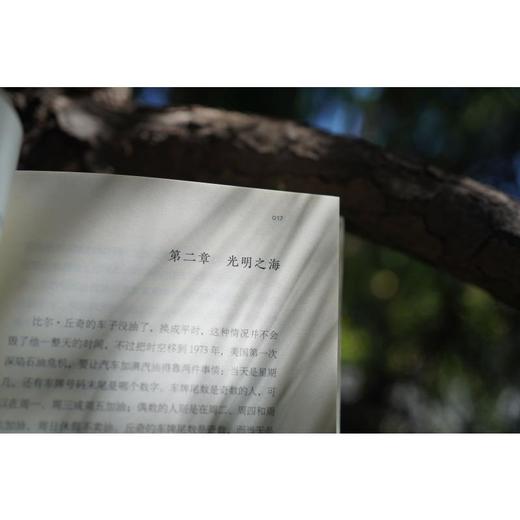 疗愈场 全新修订本 商品图4