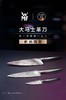 【6F】WMF 大马士革刀 商品缩略图0