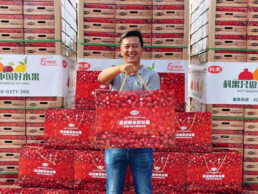 【科果突尼斯软籽石榴】9头/礼盒，被誉为可以吃的雅诗兰黛 商品图3