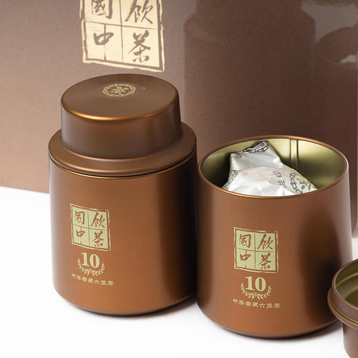 中茶 国饮中茶.窖10（2008年） 商品图3