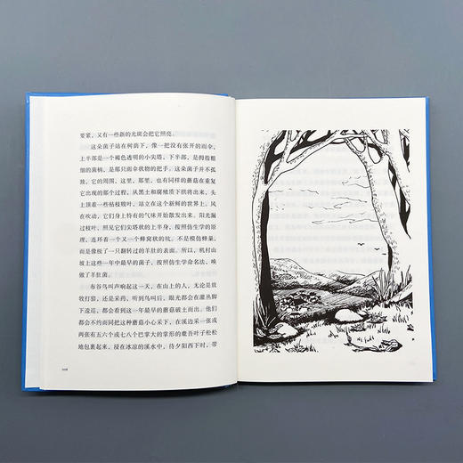 蘑菇圈 商品图3