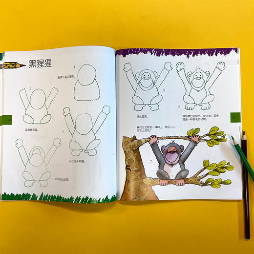 一学就会创意简笔画: 神秘雨林 3001117 商品图5