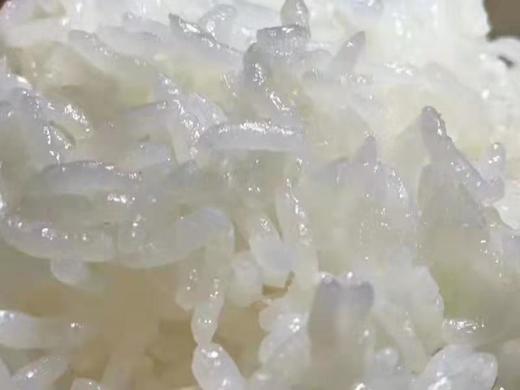 TD 【2025五常稻花香新大米上市】 五常产地直供 3包套餐（5Kg*3）稻花香2号  如遇快递暴力运输导致内包装漏气不影响食用 不在售后范围内 介意慎拍！ 商品图1