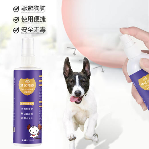 道力其禁区喷剂120ml 防止狗狗乱咬驱赶诱导喷剂 驱猫喷雾 商品图4