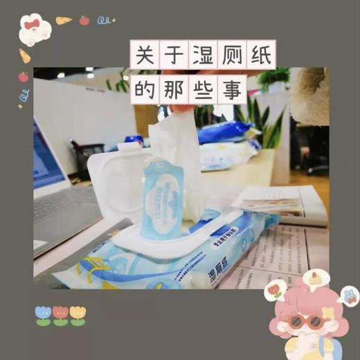 国光湿巾 可冲解湿厕纸湿巾40片 带盖 10包箱规订货【GPQ】 商品图3