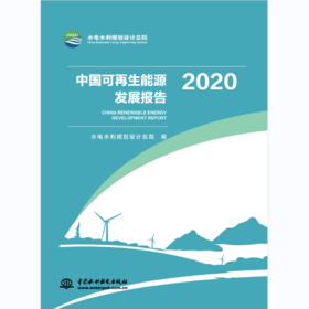 中国可再生能源发展报告 2020