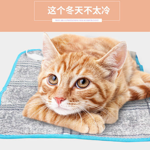 宠物电热毯——普通型   加热垫猫咪狗狗恒温电热垫冬天取暖器防漏电小窝 商品图2