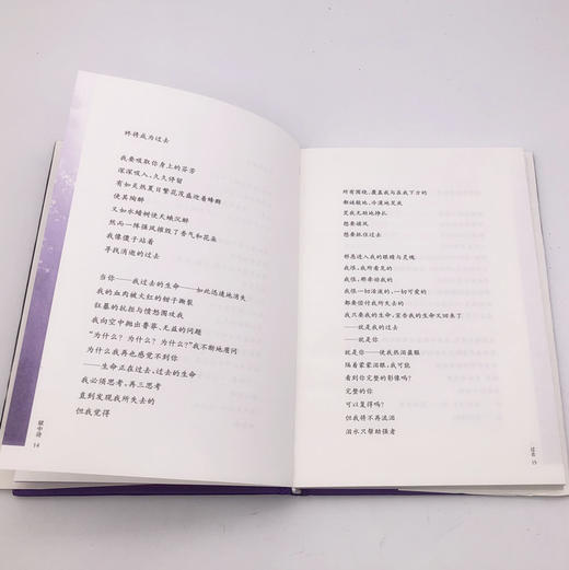 朋霍费尔作品系列：狱中诗 商品图2