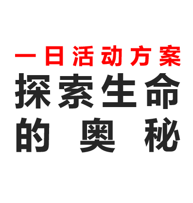 暖爸亲子之探索生命的奥秘一日活动方案
