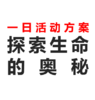 暖爸亲子之探索生命的奥秘一日活动方案 商品缩略图0