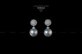 向阳而生 | 华丽耳钉