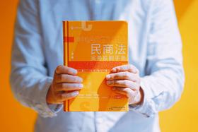 民商法实务技能手册（第二版）