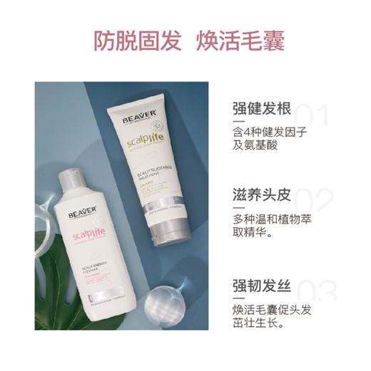 博柔 头皮芯生固发防脱洗发水 头皮清洁sheng发增发密发养发育发 商品图2