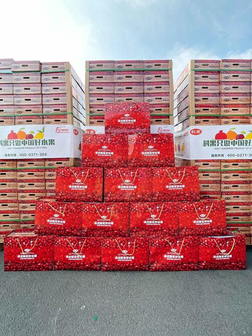 【科果突尼斯软籽石榴】9头/礼盒，被誉为可以吃的雅诗兰黛 商品图4