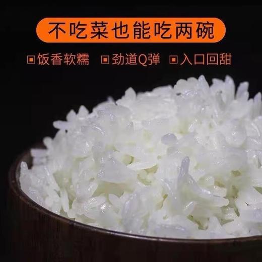 TD 【2025五常稻花香新大米上市】 五常产地直供 3包套餐（5Kg*3）稻花香2号  如遇快递暴力运输导致内包装漏气不影响食用 不在售后范围内 介意慎拍！ 商品图2