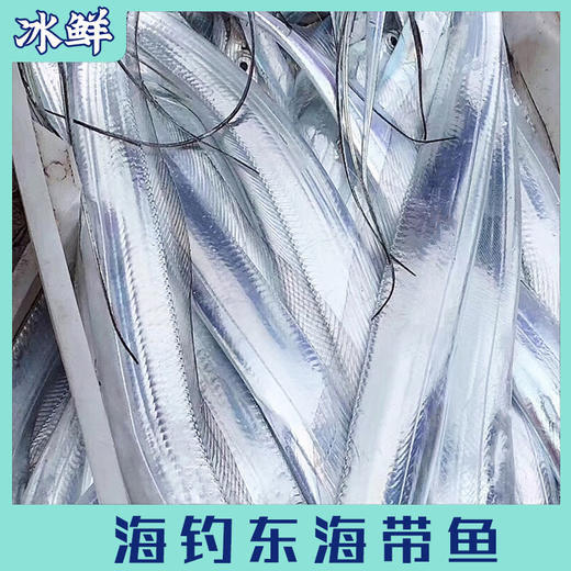 海钓东海带鱼（纯手钓当日钓） 商品图1