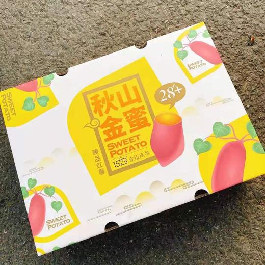 【秋山金蜜.红薯】约5斤/箱，可蒸可烤 商品图6