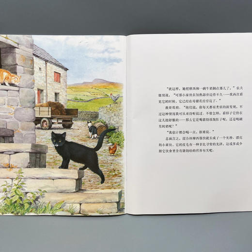 小猫摩西 我的动物朋友系列 3000926 商品图5