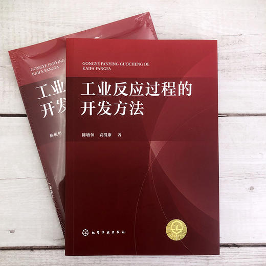 工业反应过程的开发方法 商品图1