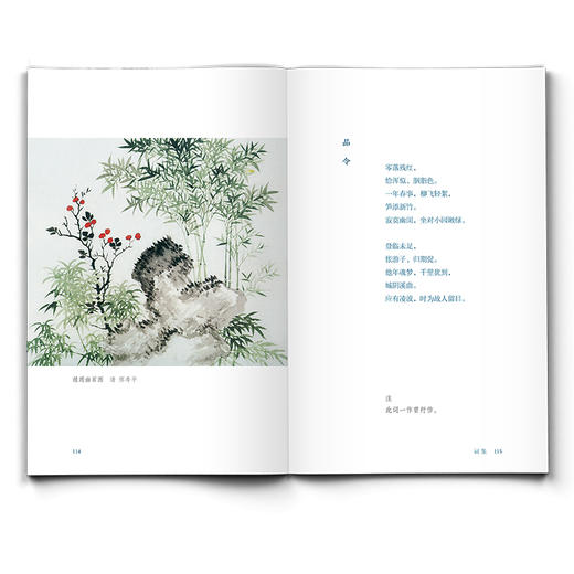 李清照诗词全集 “北大民谣女神”程璧深度导读 收录诗词87首 精选81幅绘画恽寿平花鸟系列高清画作 李清照年表 商品图1