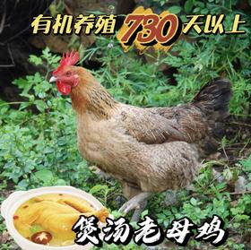 有机跑山鸡老母鸡  --【山林散养730天以上】
