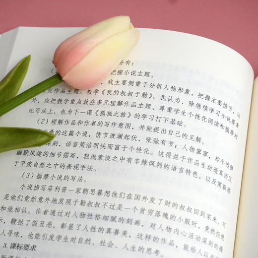 青年教师自主成长的秘诀 大夏书系 教师专业发展 做一名幸福的卓越教师 徐世贵 纪文杰 正版 华东师范大学出版社 商品图3