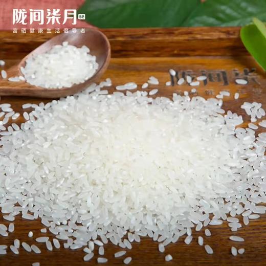 中国粮A款 商品图1