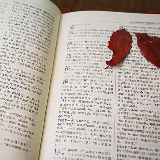 辞海版.学生古汉语词典(第4版) 商品图3