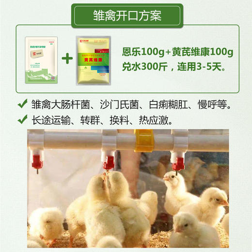 【恩乐】禽用10%恩诺沙星可溶性粉100g【不推荐猪用】 商品图3