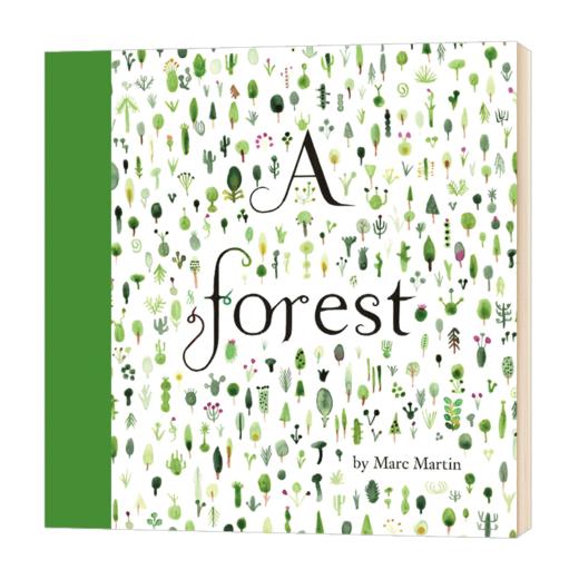 A Forest 从前有一片森林 英文原版 马克马丁 英文版儿童艺术绘本 商品图0