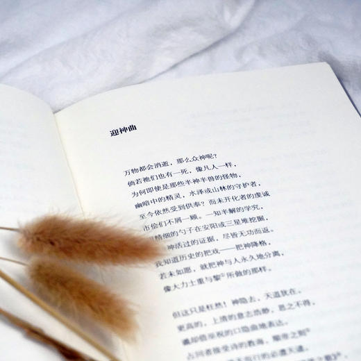 《山海经》传 精装 宋琳作品  六点诗丛 正版 华东师范大学出版社 商品图3