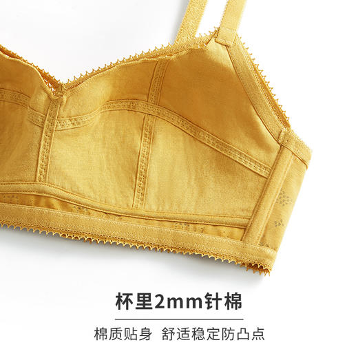 HSIA遐无钢圈内衣女薄夹棉防凸点向阳花开蕾丝全罩杯大胸显小文胸 商品图4
