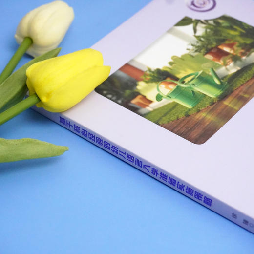 基于核心经验的幼儿语言入学准备实施策略 华东师范大学附属紫竹幼儿园 幼儿语言入学准备实施策略 正版 华东师范大学出版社 商品图2