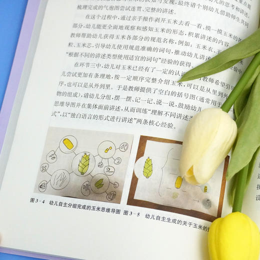 基于核心经验的幼儿语言入学准备实施策略 华东师范大学附属紫竹幼儿园 幼儿语言入学准备实施策略 正版 华东师范大学出版社 商品图3