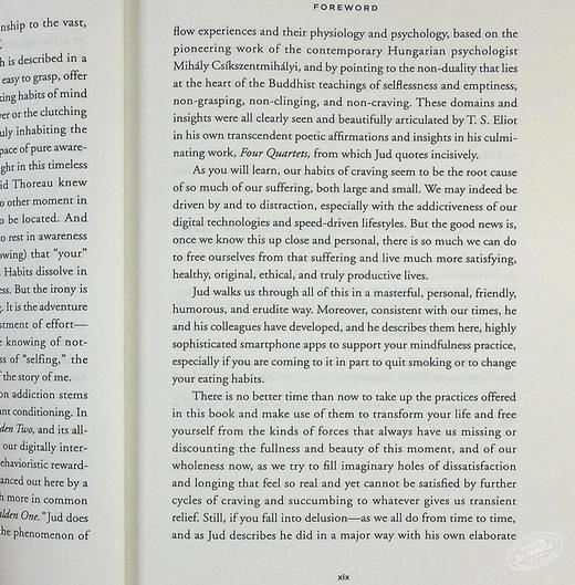 预售 【中商原版】渴求之心：从香烟到手机到爱，为什么我们会被坏习惯困住以及如何摆脱 英文原版 The Craving Mind Judson Brewer 商品图7