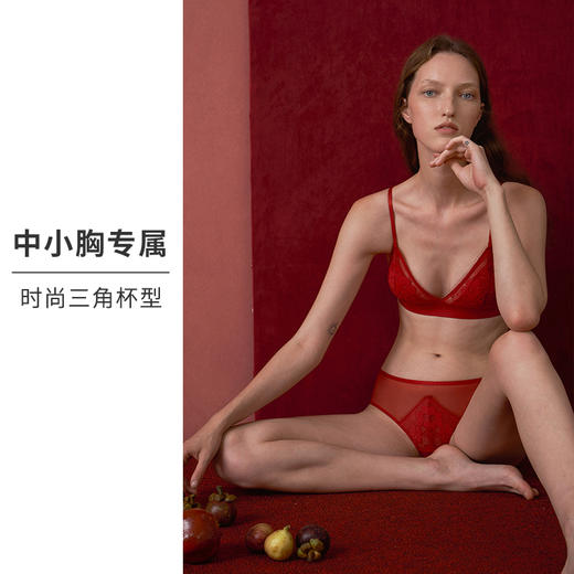 HSIA遐内衣女中小胸法式三角杯蕾丝睫毛花朵蕾丝防凸点无钢圈文胸 商品图1