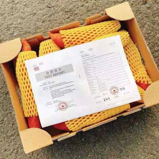 【秋山金蜜.红薯】约5斤/箱，可蒸可烤 商品图7